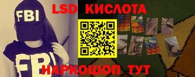 PSILOCYBIN Можга